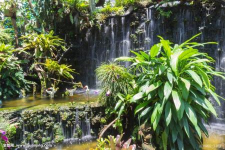 ⽻й߶¹簲ȫԺЧ